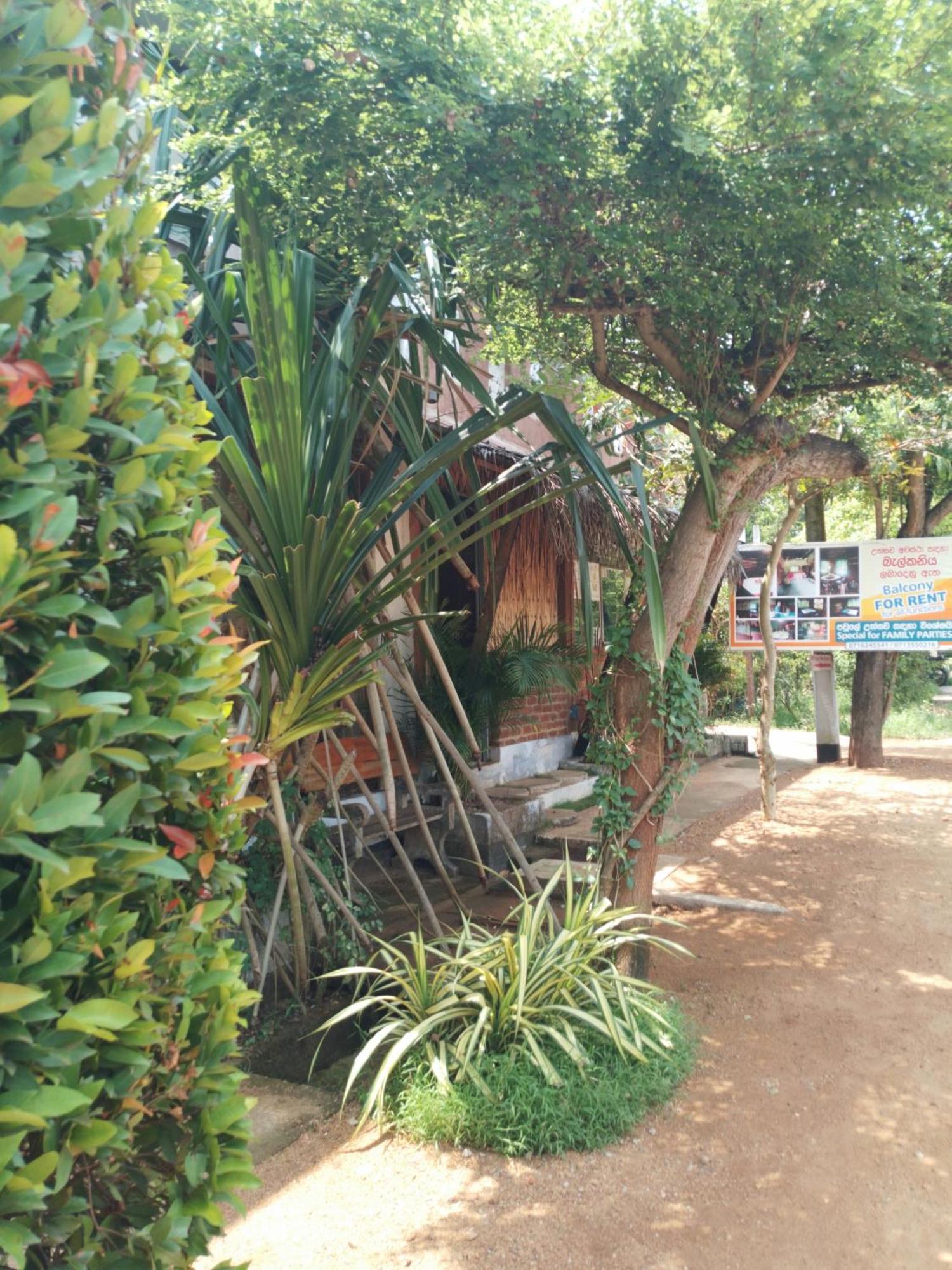 Lucky Holiday Home Anuradhapura Kültér fotó